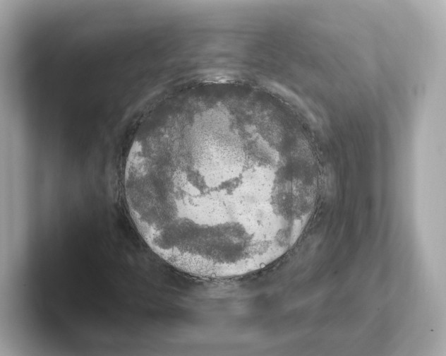 X0000101091446200807240958