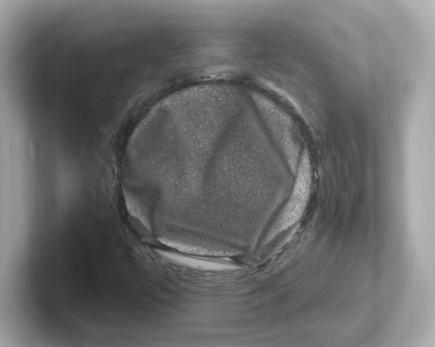 X0000101091447200807240958