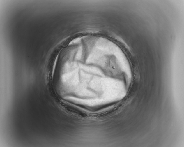 X0000101091448200807240958