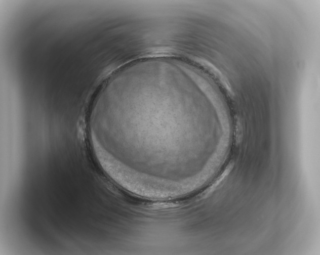 X0000101091449200807240958