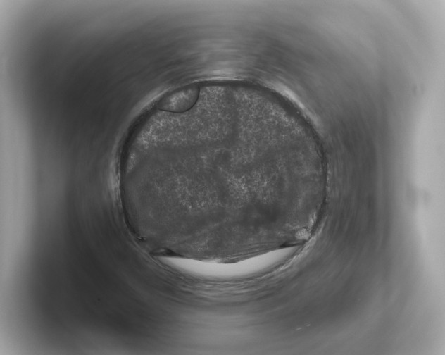 X0000101091450200807240958