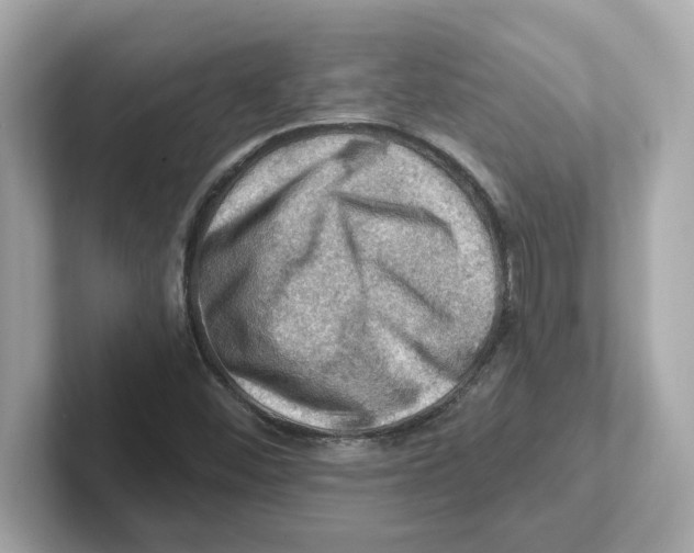 X0000101091452200807240958