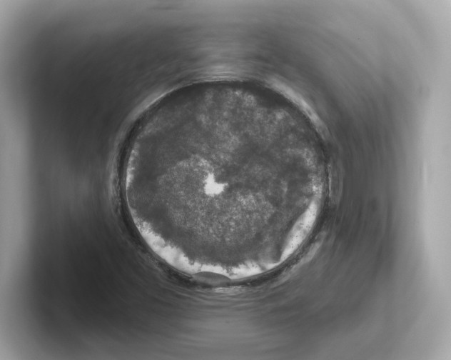 X0000101091453200807240958