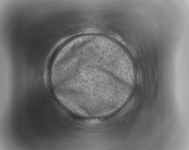 X0000101091454200807240958