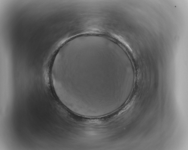 X0000101091455200807240958