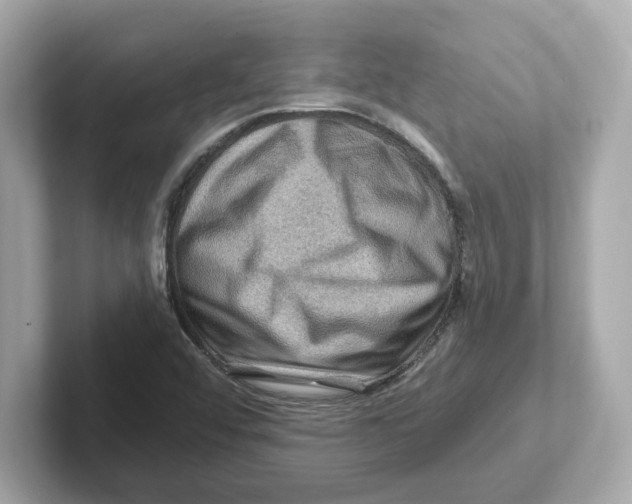 X0000101091456200807240958