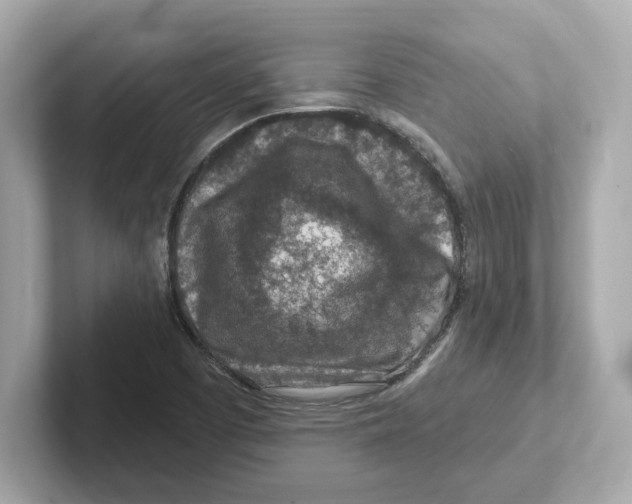 X0000101091457200807240958