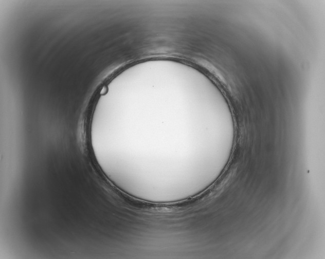 X0000101091458200807240958