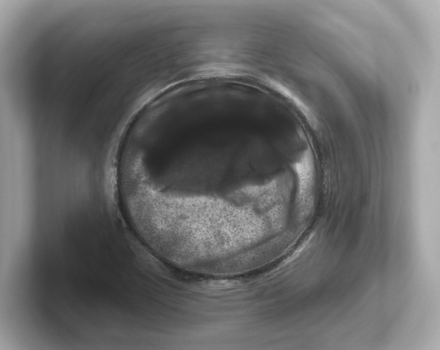 X0000101091459200807240958