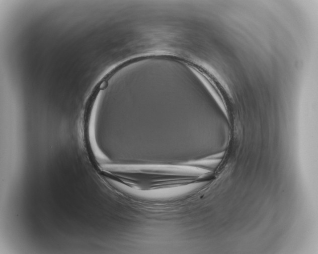 X0000101091460200807240958