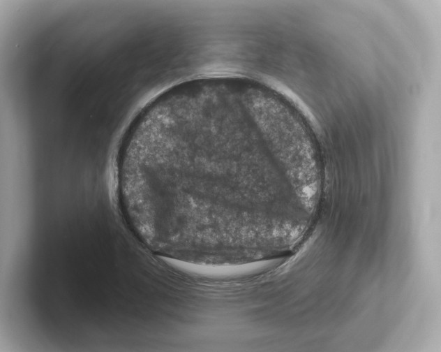 X0000101091461200807240958