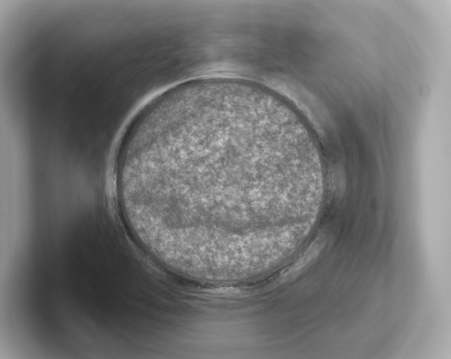 X0000101091462200807240958