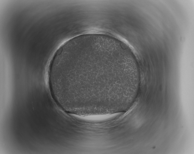 X0000101091463200807240958