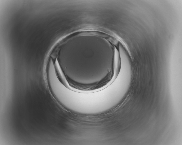 X0000101091464200807240958