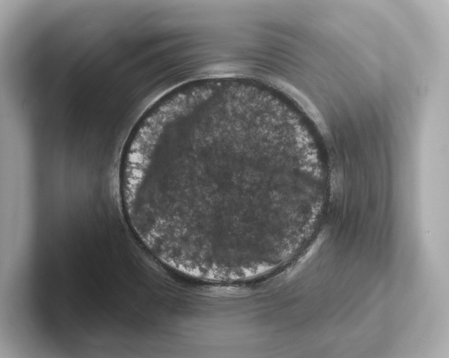 X0000101091465200807240958