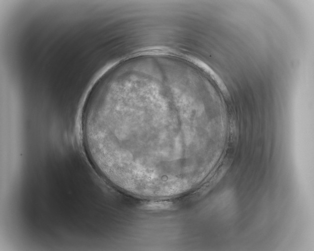 X0000101091466200807240958