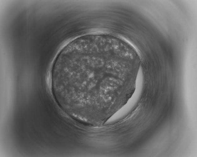 X0000101091467200807240958