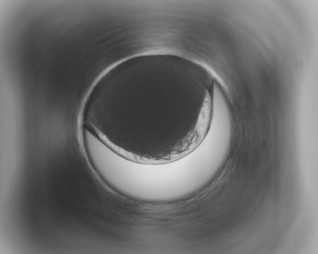 X0000101091468200807240958