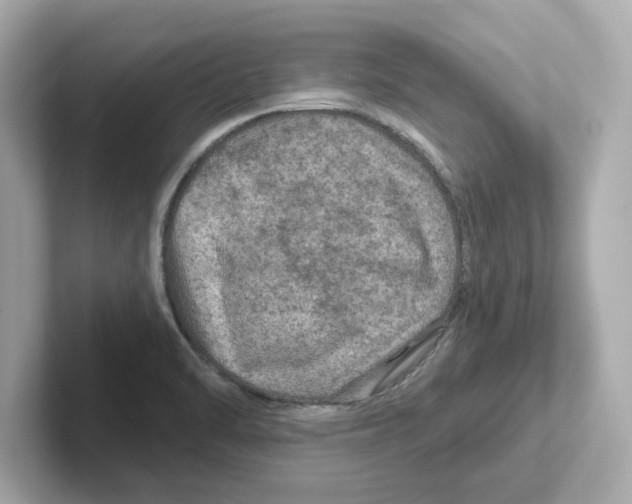 X0000101091470200807240958