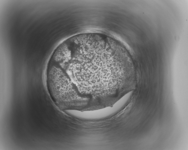 X0000101091471200807240958