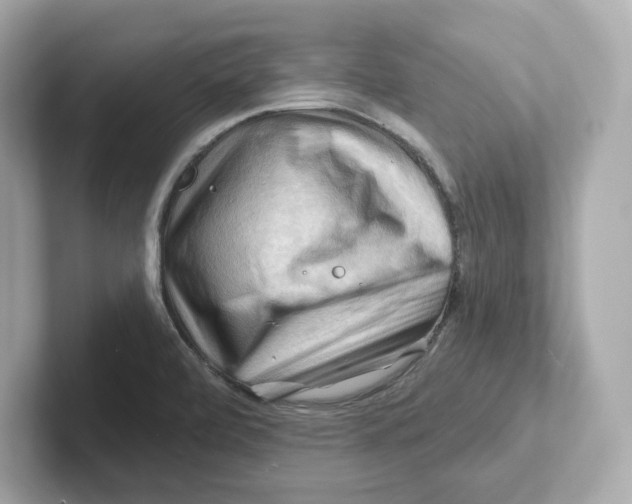 X0000101091472200807240958