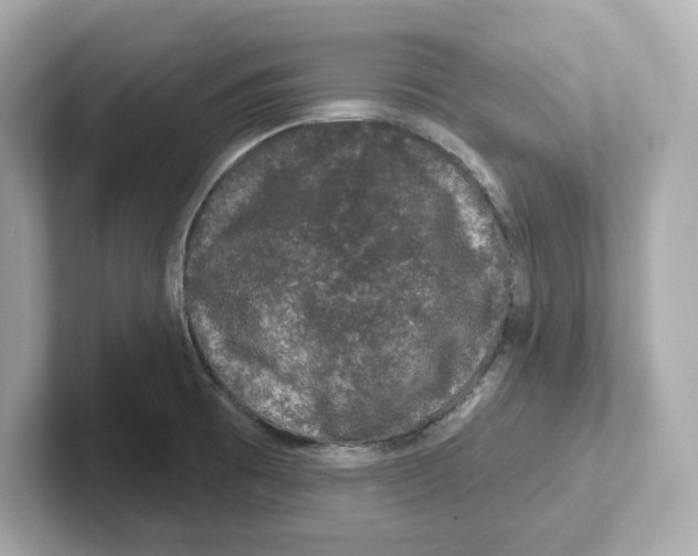 X0000101091473200807240957