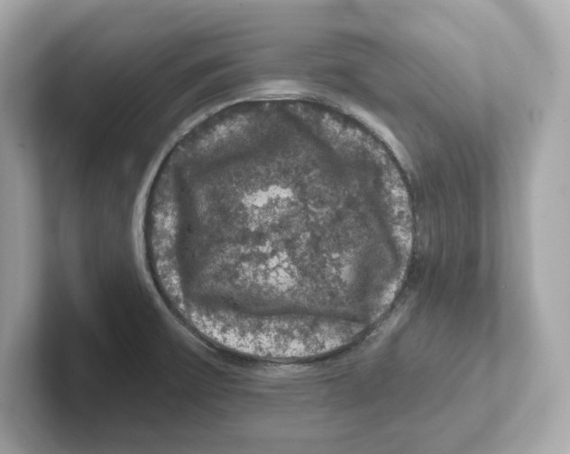 X0000101091475200807240957