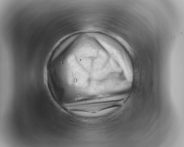 X0000101091476200807240957