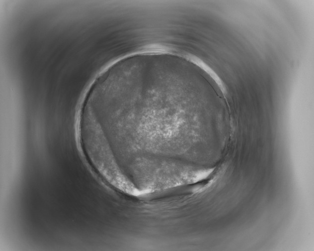 X0000101091477200807240957