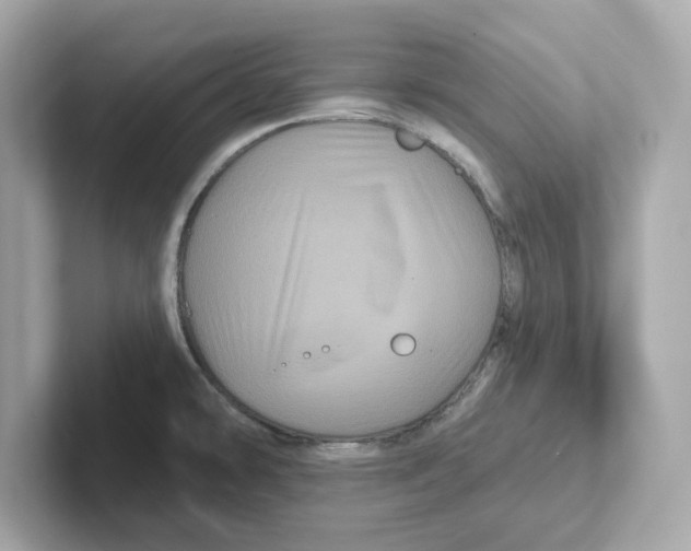 X0000101091478200807240957