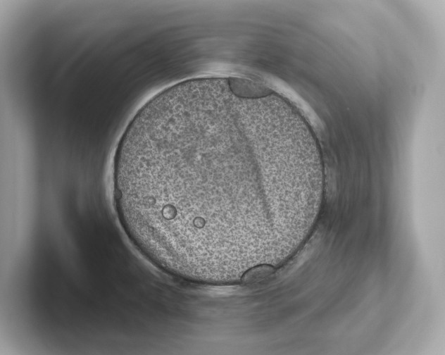 X0000101091479200807240957