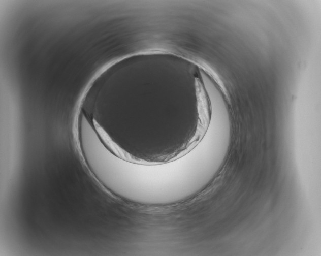 X0000101091480200807240957