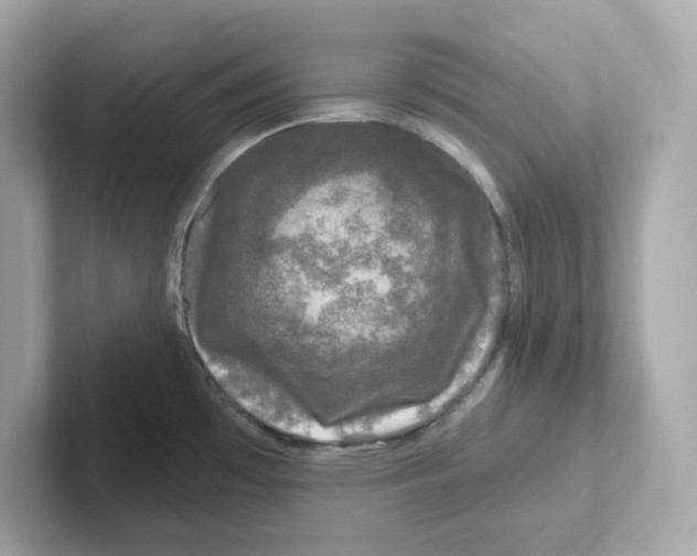 X0000101091481200807240957