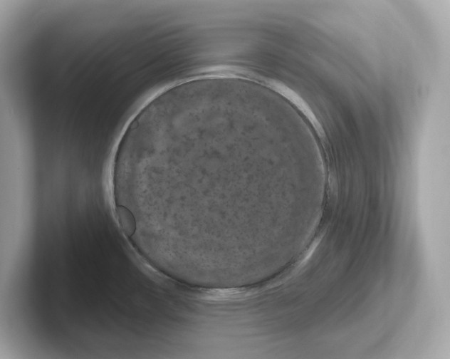 X0000101091482200807240957