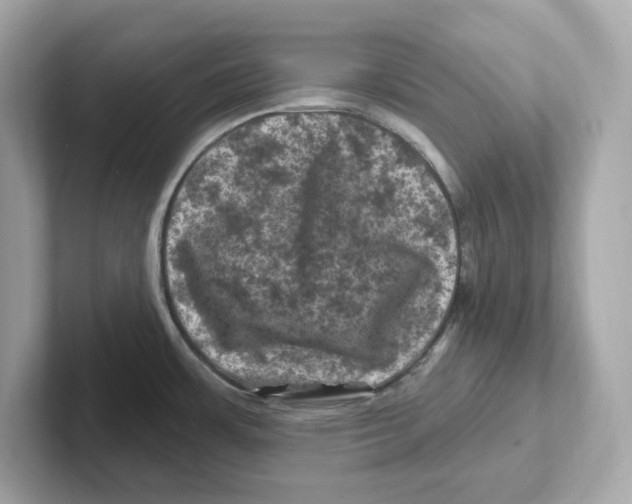 X0000101091483200807240957