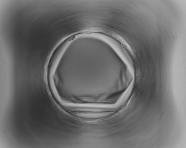 X0000101091484200807240957