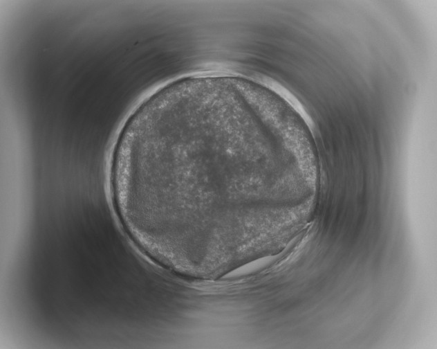 X0000101091485200807240957