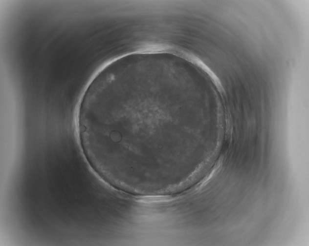 X0000101091487200807240957