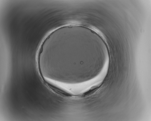 X0000101091488200807240957