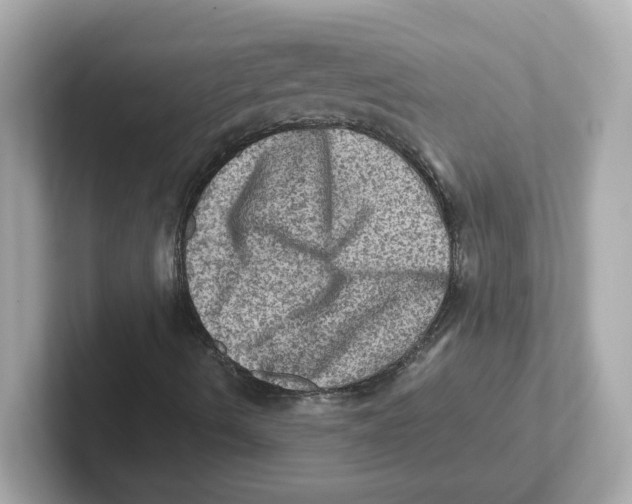 X0000101091490200807240957