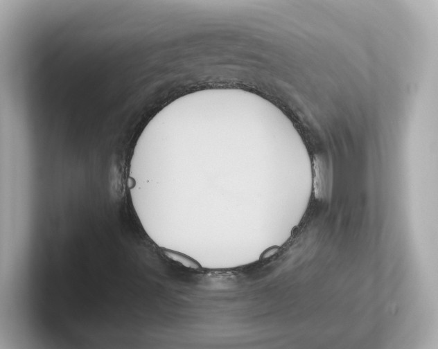 X0000101091491200807240957