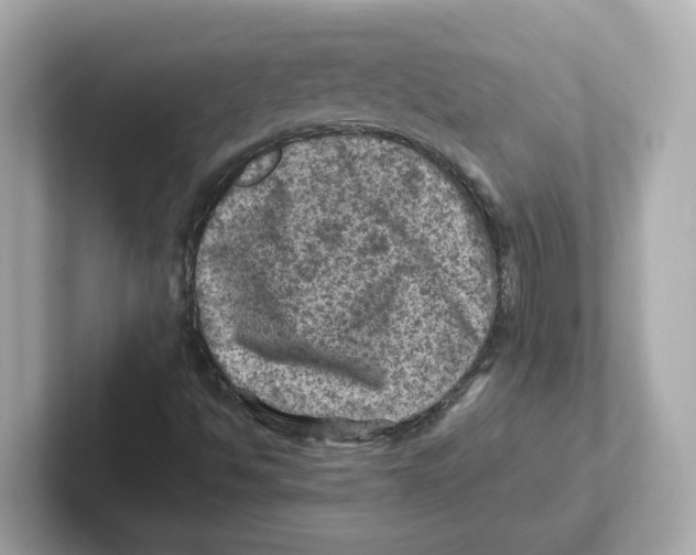 X0000101091494200807240957