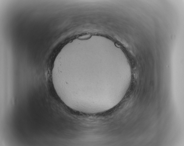 X0000101091495200807240957