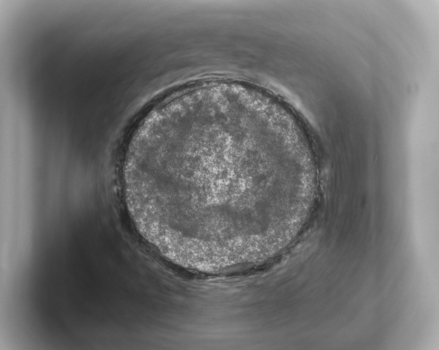 X0000101091496200807240957