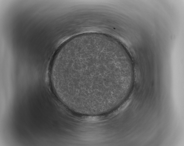 X0000101091497200807240957