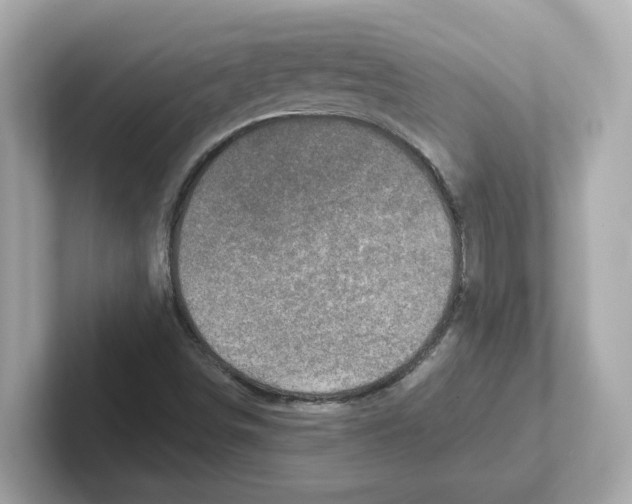 X0000101091498200807240957