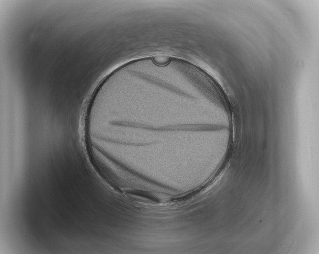 X0000101091500200807240957