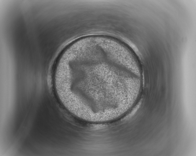 X0000101091501200807240957