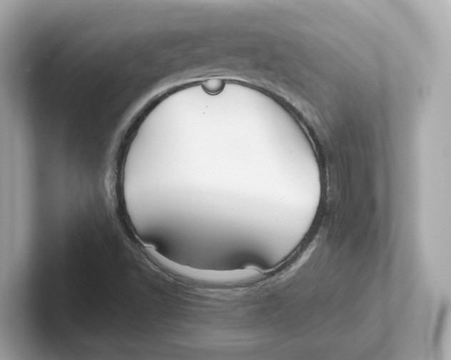 X0000101091502200807240957