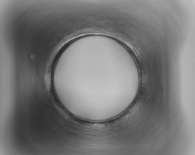 X0000101091503200807240957